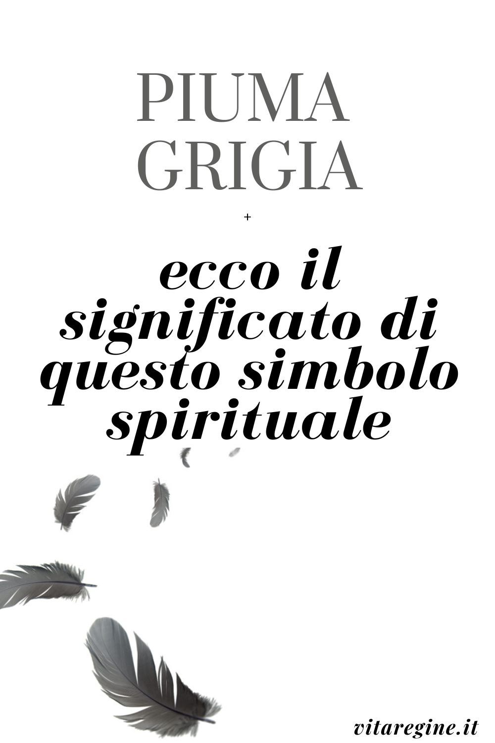 Sentire Odore Di Sangue Significato Spirituale Piuma grigia: ecco il significato di questo simbolo spirituale - La