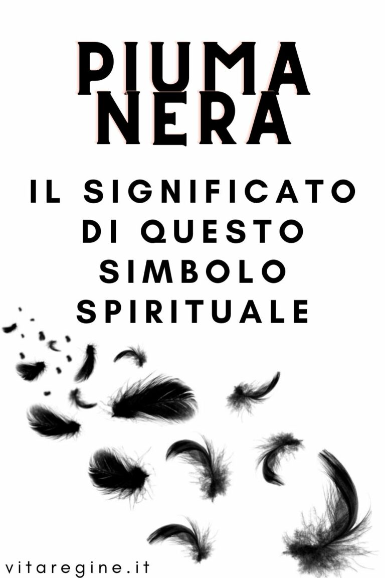 Piuma nera il significato di questo simbolo spirituale La Vita Delle Regine Piuma nera il significato di questo simbolo spirituale La Vita Delle Regine