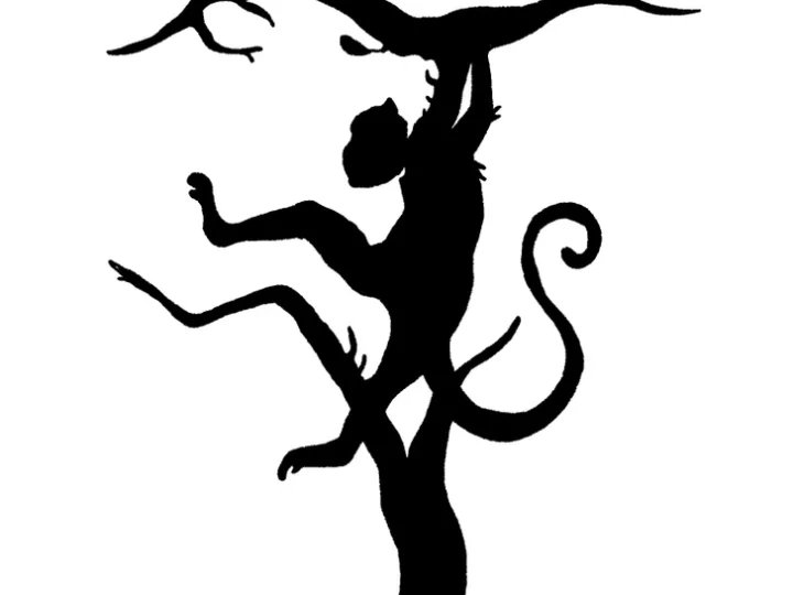 Basta una sola immagine &ndash; e ti sveler&agrave; quale emisfero cerebrale prevale nel tuo caso!