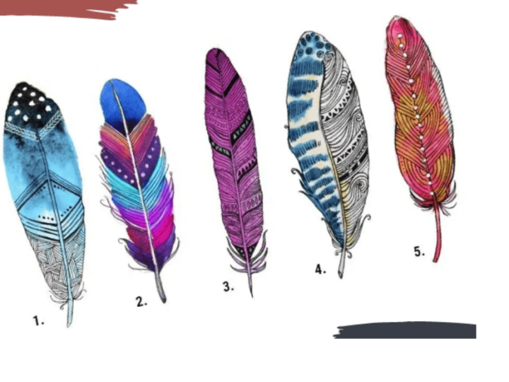 La pluma que elijas te revelar&aacute; qu&eacute; es lo m&aacute;s importante para ti en la vida.