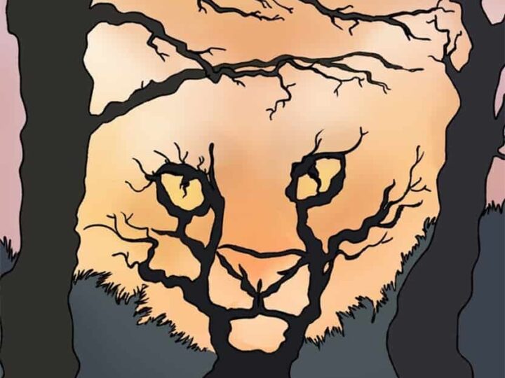 Test de personalidad: lo primero que te llama la atenci&oacute;n en la imagen revela tu estado de &aacute;nimo actual.