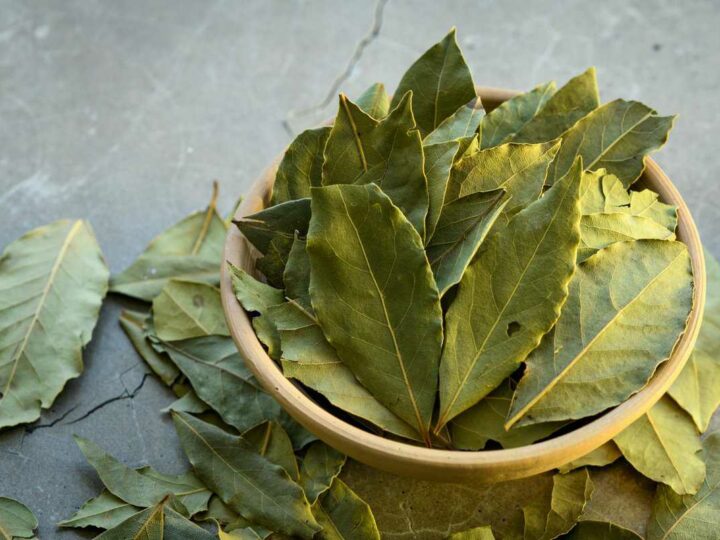 Antes de acostarte, pon una hoja de laurel debajo de la almohada.