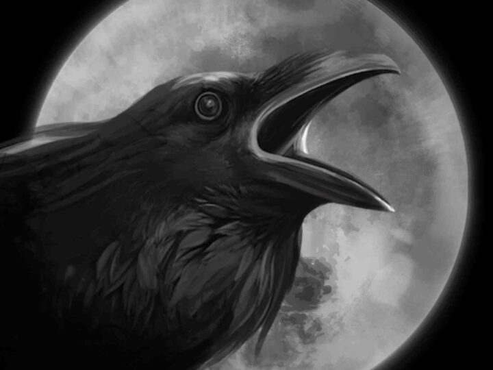 El cuervo como animal de poder: simbolismo y significado